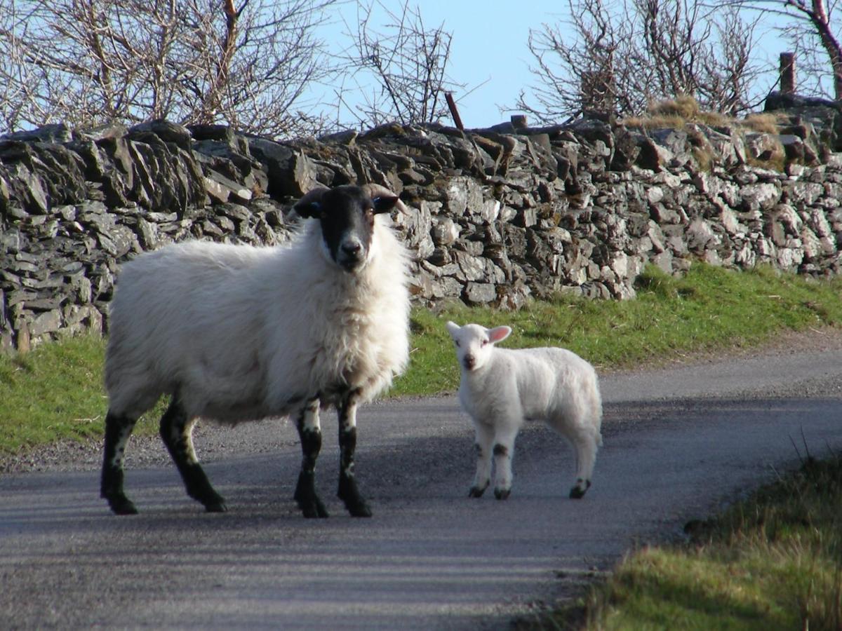 Sunnybrae, Isle Of Luing Hotel Cullipool Buitenkant foto
